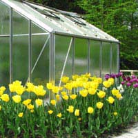 Glass or Plastic Panes for Your Greenhouse?