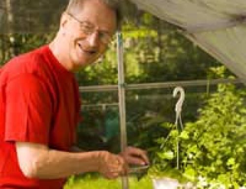 Is a Lean-to Greenhouse Right for You?